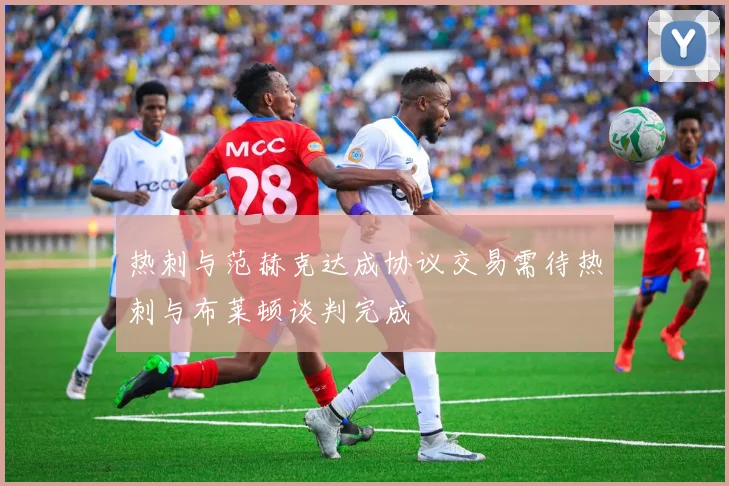 热刺与范赫克达成协议交易需待热刺与布莱顿谈判完成
