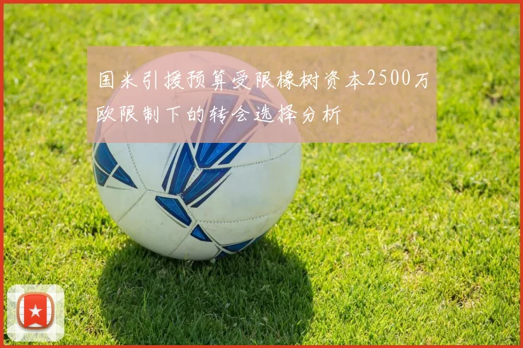 国米引援预算受限橡树资本2500万欧限制下的转会选择分析