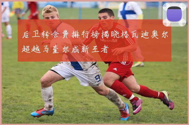 后卫转会费排行榜揭晓格瓦迪奥尔超越马奎尔成新王者