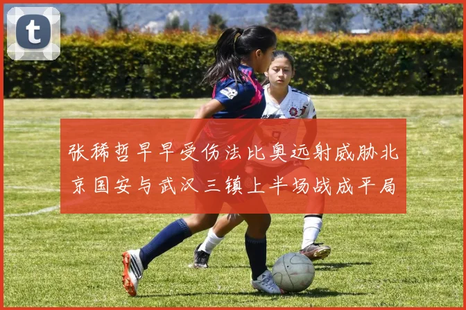 张稀哲早早受伤法比奥远射威胁北京国安与武汉三镇上半场战成平局